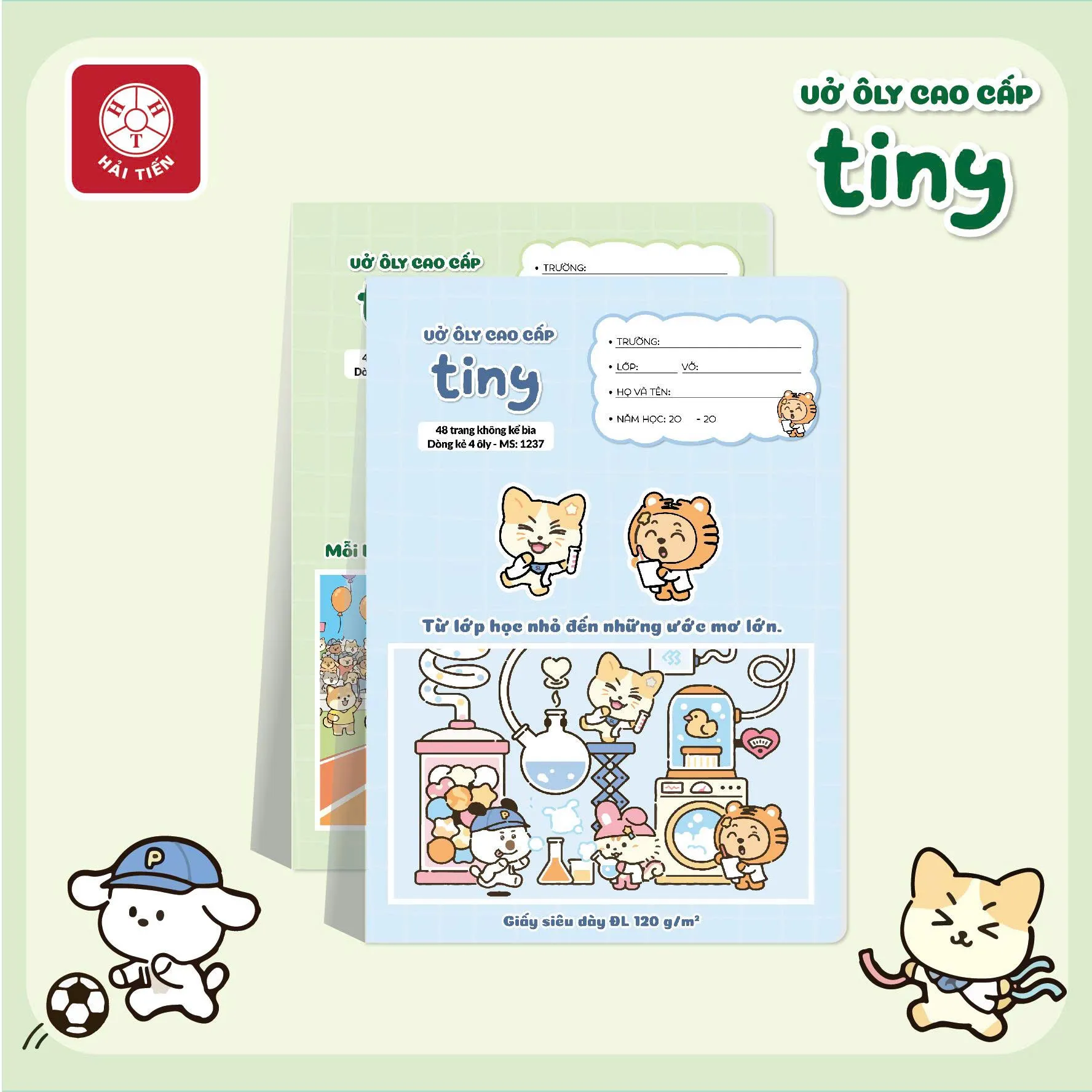 c77abe69 4ed0 4c62 b334 3ae4f8363e34formatwebp